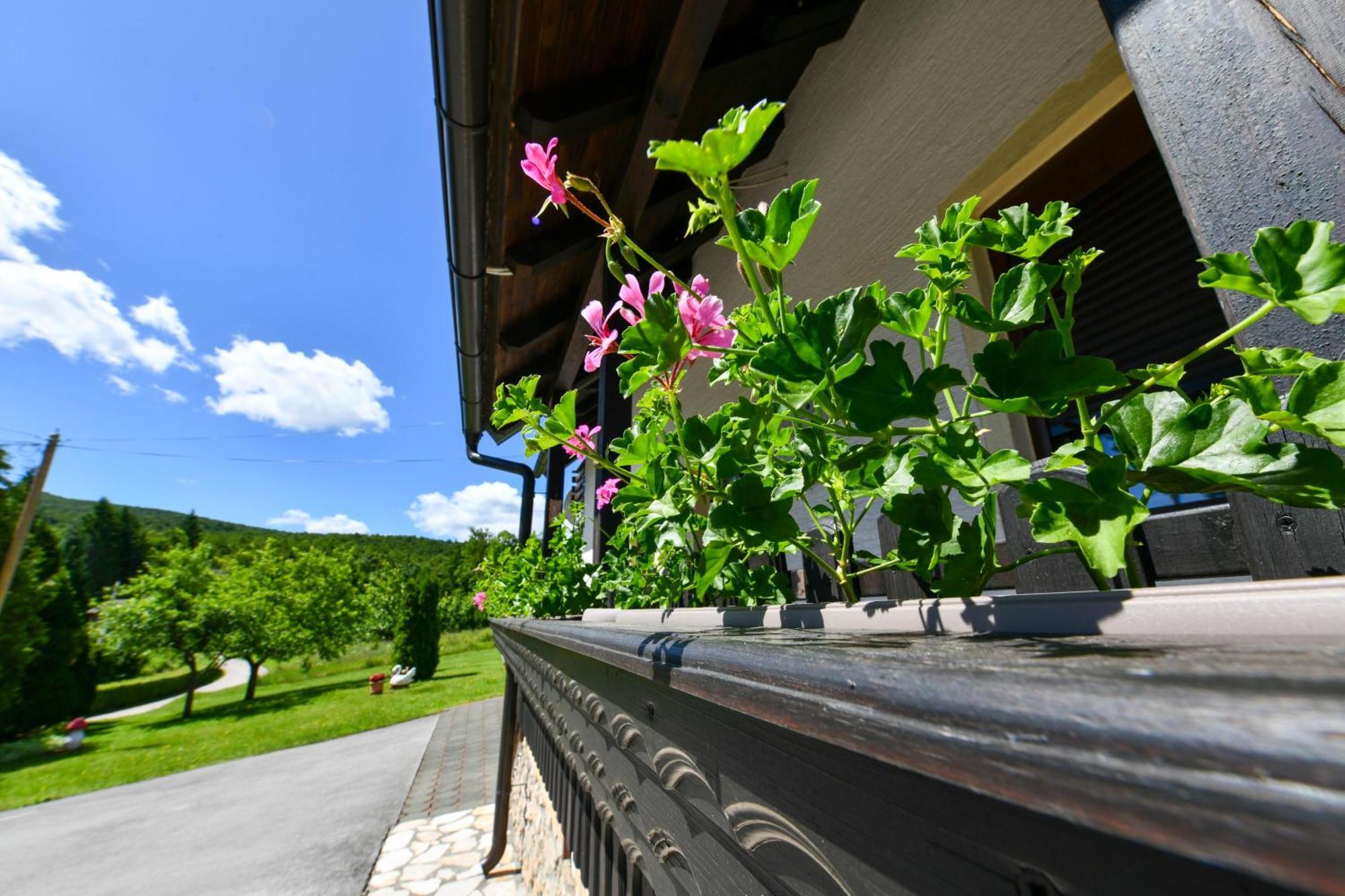 Apartment & Rooms Luketic Rastovača Exterior foto